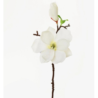 KONÁR MAGNÓLIA BIELA 36cm