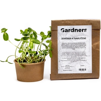 MP Seeds Slunečnice semínka k nakličování 250 g