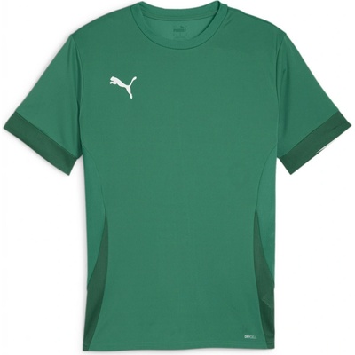 Puma teamGOAL Matchday Jersey zelená