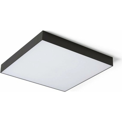 RENDL R14373