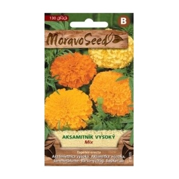 Semínka MoravoSeed Aksamitník vzpřímený vysoký, směs 03609