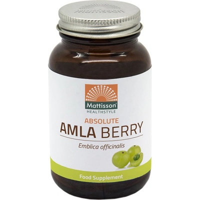 Mattisson Healthstyle Absolute Amla Berry Extract, 60 капсули, Mattisson Healthstyle (MT2177)