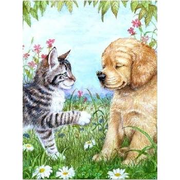 Norimpex - Puzzle Diamant painting: Puppy and kitten 30x40cm - 1 - 39 piese