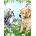 Norimpex - Puzzle Diamant painting: Puppy and kitten 30x40cm - 1 - 39 piese
