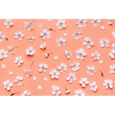 Plakát, Obraz - Beautiful floral wallpaper., Anna Efetova, 40 × 26.7 cm