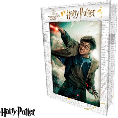PRIME 3D Harry Potter: Harry 300 dílků