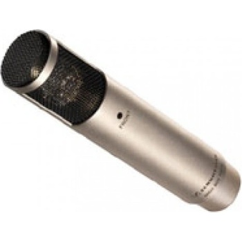 SENNHEISER MKH800 TWIN