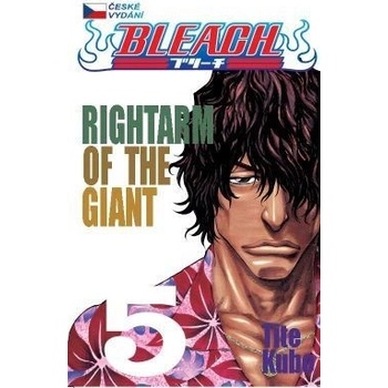 Bleach 5 - Tite Kubo