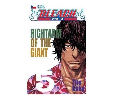 Bleach 5 - Tite Kubo