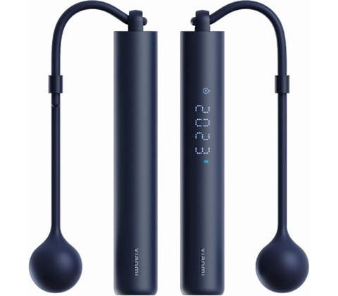 Xiaomi Smart