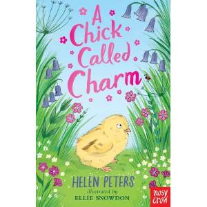 Chick Called Charm (ISBN: 9781839948763)