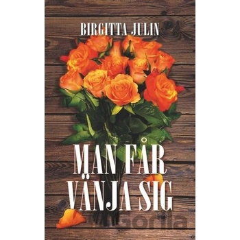 Man får vänja sig - Birgitta Julin
