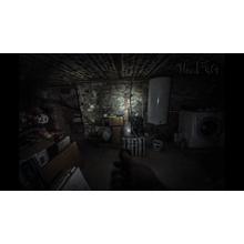 The Fan