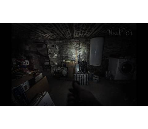 The Fan