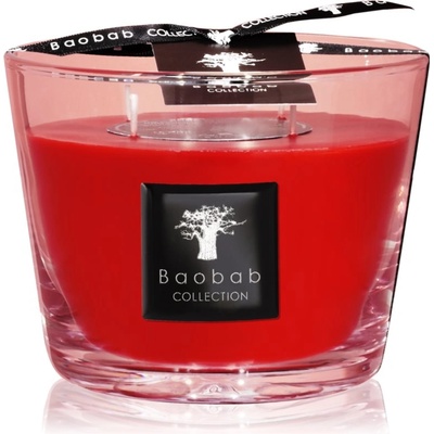 Baobab Collection All Seasons Masaai Spirit ароматна свещ 500 гр