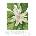 Принт Umbrella Tree, Мери Во Уолкът - репродукция (Print1021)