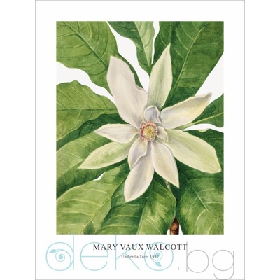 Принт Umbrella Tree, Мери Во Уолкът - репродукция (Print1021)