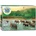 EUROGRAPHICS Пъзел Eurographics от 1000 части - Дъждовна гора (60005540)