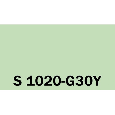 Het Soldecol Unicoat SM 5l NCS S 1020-G30Y