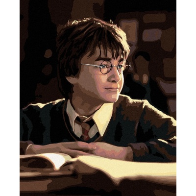 zuty Malování Podle Čísel Harry Potter S Knihou 40 x 50 Cm Plátno 8596530242369