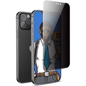 Blueo Затъмняващ Стъклен Протектор за iPhone 16 Pro, Blueo Privacy 2.5D Glass, Черен (5903396317118)