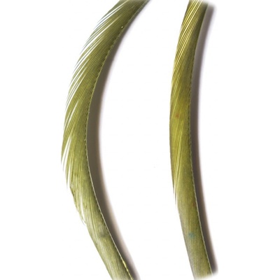 Veniard Husí Biots Goose Biot Strips Olive Dun