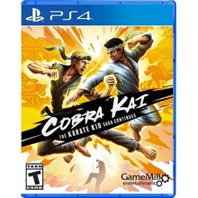 Cobra Kai: The Karate Kid Saga Continues