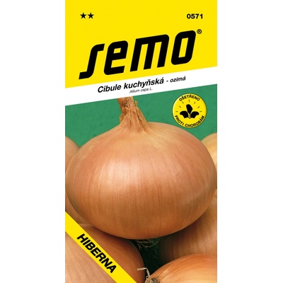 SEMO Cibuľa HIBERNA