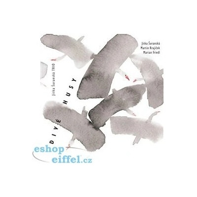 Divé husy - Jitka Šuranská Trio