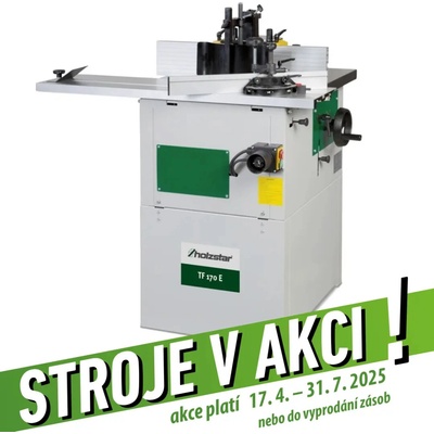 Holzstar TF 170 E 400 V 5901918