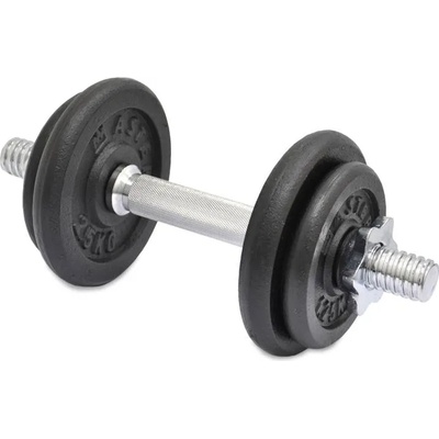 MASTER Дъмбел master 10 кг, комплект