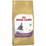 Royal Canin Kitten British Shorthair 10 kg