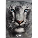 Beniamin Sešit Wild tygr 564