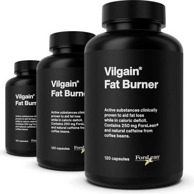 Vilgain Spalovač tuků 2.0 360 kapslí – Zboží Mobilmania