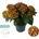 Hy-Pe Unique Marble Hi Moon® - Hy-pe Unique - Хортензия макрофила