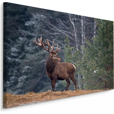 MyBestHome BOX Plátno Majestátní Jelen V Lese Varianta: 120x80