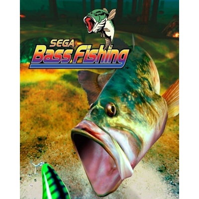Bass Fishing