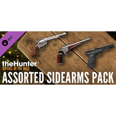 theHunter: Call of the Wild - Assorted Sidearms Pack