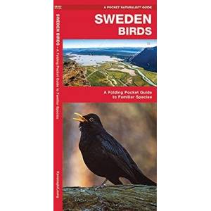 Sweden Birds (ISBN: 9781620053508)