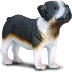 CollectA Bulldog dog