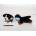 Dubi Bernese Mountain Dog 27cm