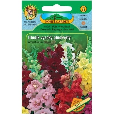 Nohel Garden Hledík větší vysoký plnokvětý, směs