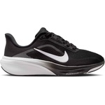 Nike Pegasus 42 40