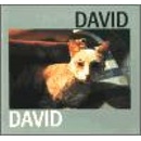 David Jiří David