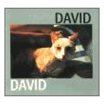 David Jiří David