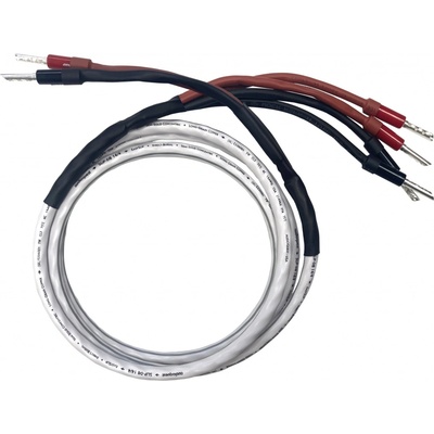 Acoustique Quality 646-4BW MKII