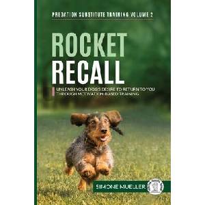 Rocket Recall | Simone Mueller, Charlotte Garner, Päivi Kokko (ISBN: 9783982187884)