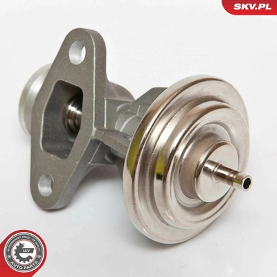 AGR-Ventil ESEN SKV 14SKV068