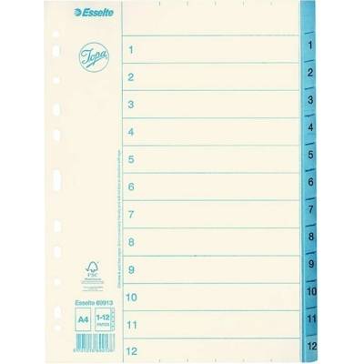 Register, kartón, A4, 1–12, ESSELTE, biely 69913