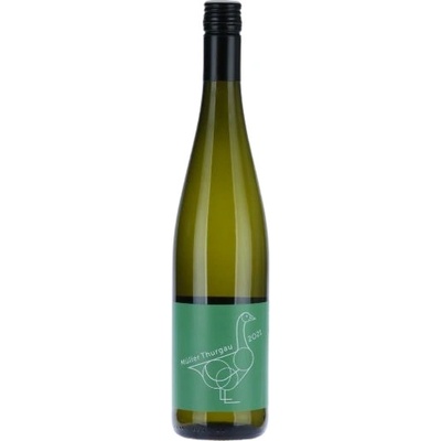 Oulehla Müller Thurgau mladé 2024 11,5% 0,75 l (holá láhev)